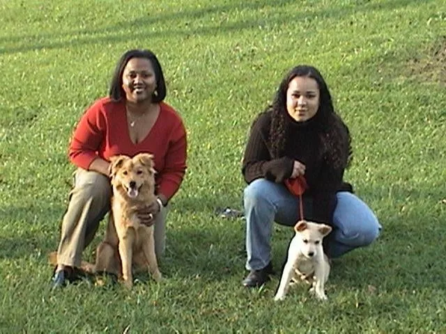 Advanced Canine Nashville Dog Training, Kentucky, Nashville
